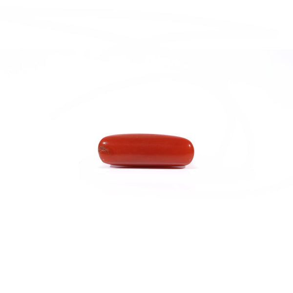 Red Coral - 4.2 Carat
