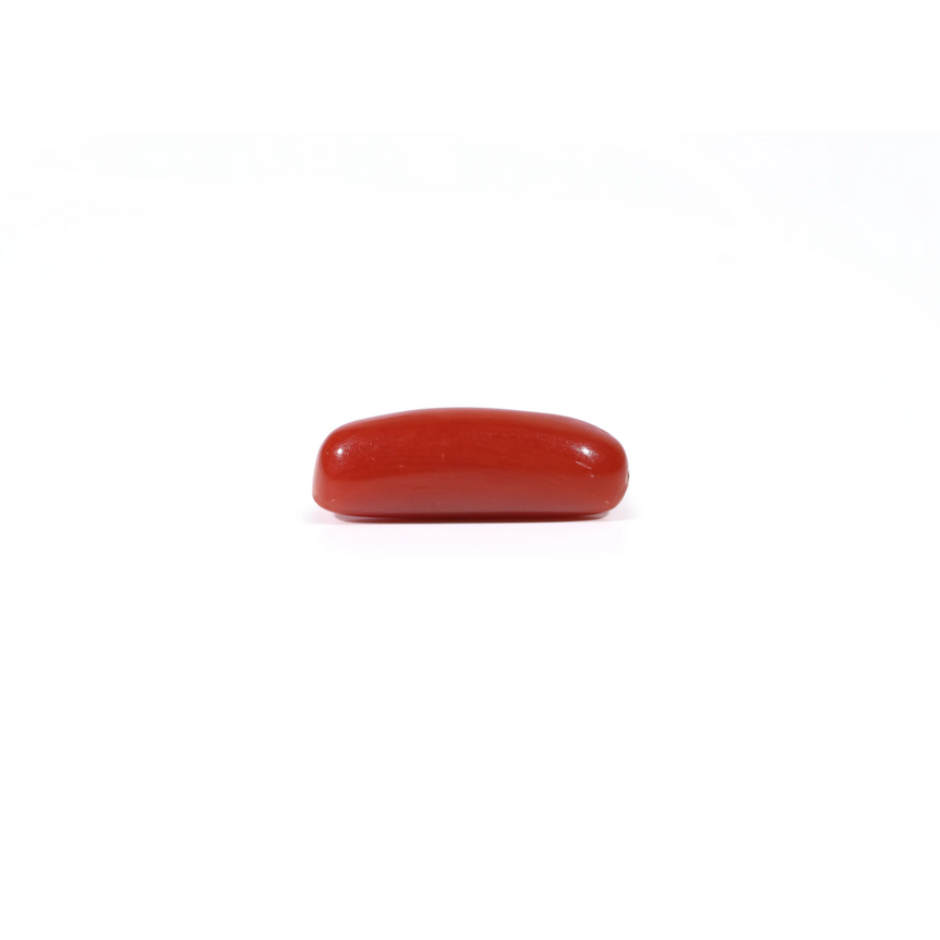 Red Coral - 4.2 Carat