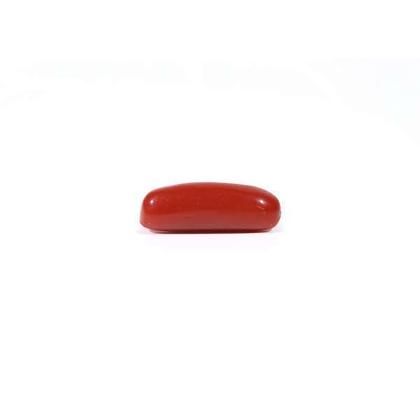 Red Coral - 4.2 Carat