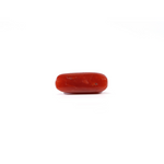 Red Coral - 3.72 Carat
