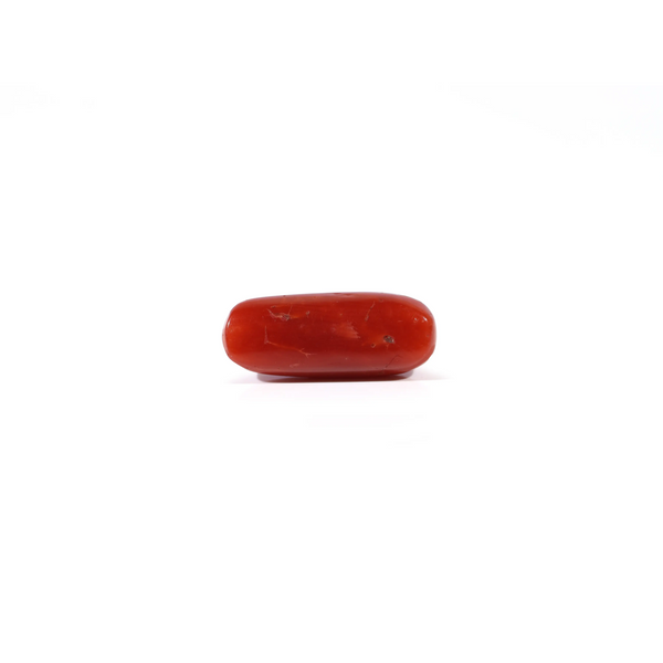 Red Coral - 3.72 Carat