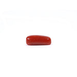 Red Coral - 3.72 Carat