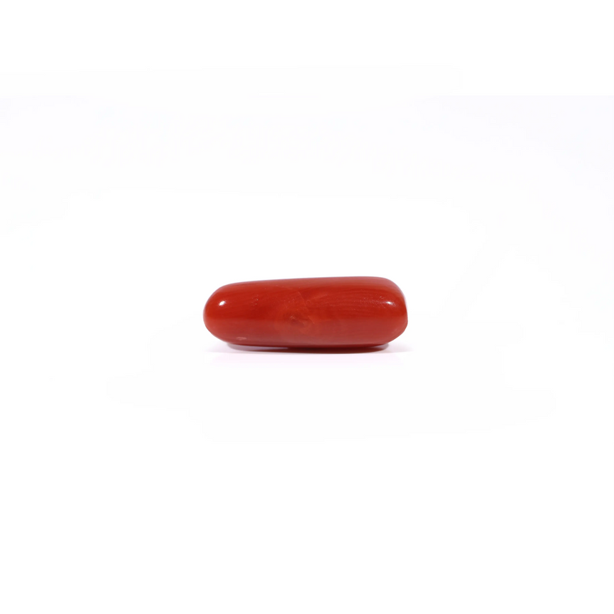 Red Coral - Moonga - 4.03 Carat - Pramogh