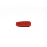 Red Coral - Moonga - 4.03 Carat - Pramogh