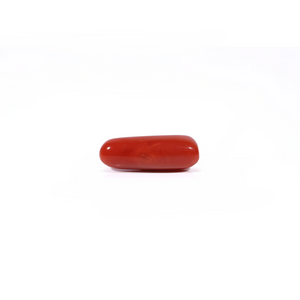 Red Coral - Moonga - 4.03 Carat - Pramogh