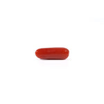 Red Coral - 4.03 Carat