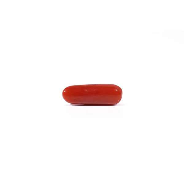 Red Coral - 4.03 Carat