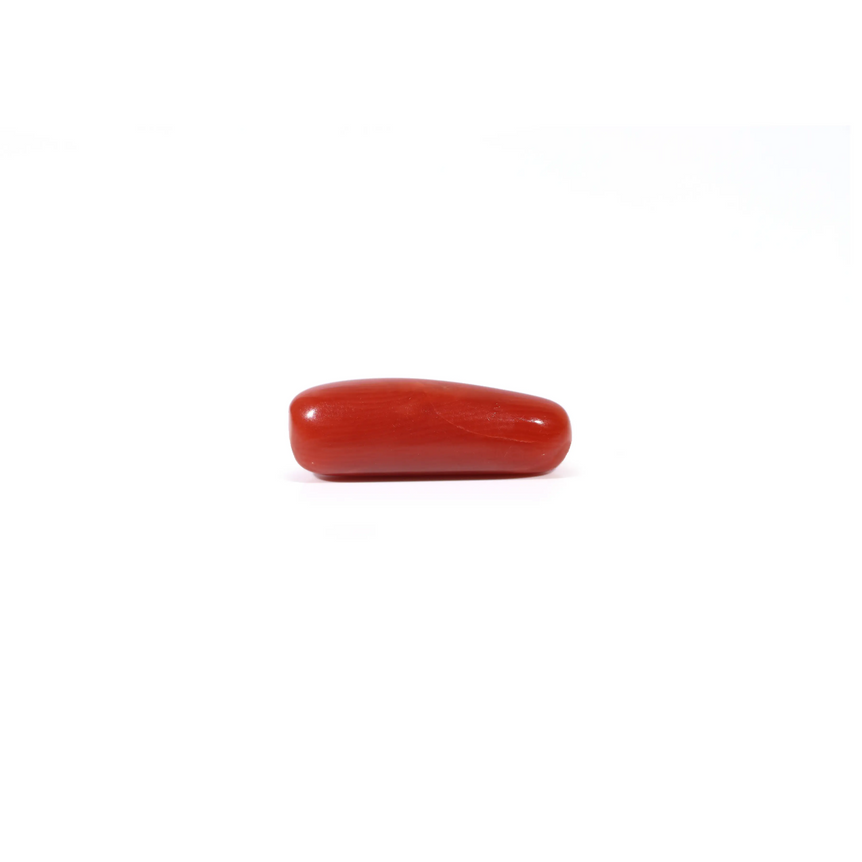 Red Coral - 4.03 Carat