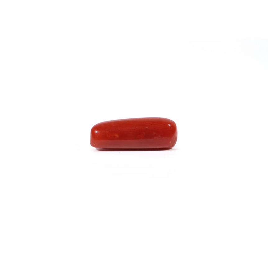 Red Coral - 3.95 Carat