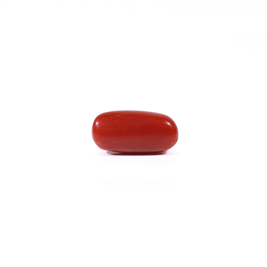 Red Coral - 2.85 Carat