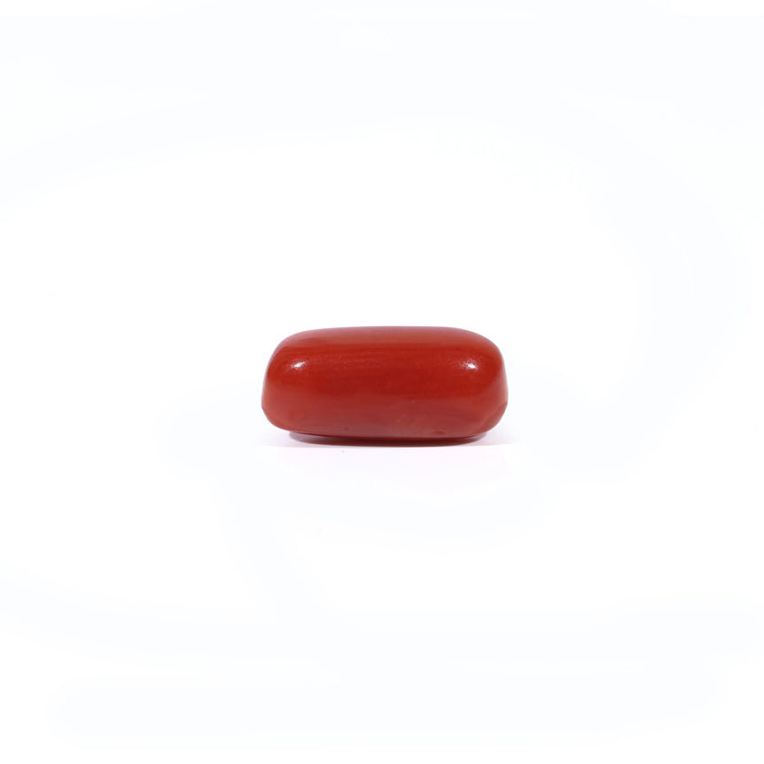 Red Coral - 2.85 Carat