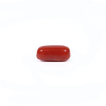 Red Coral - 2.85 Carat