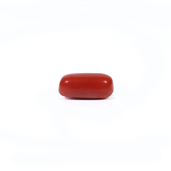 Red Coral - 2.85 Carat
