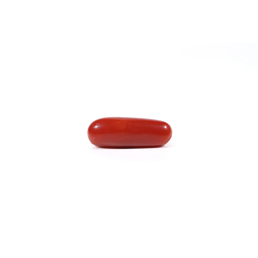 Red Coral - Moonga - 4.3 Carat - Pramogh