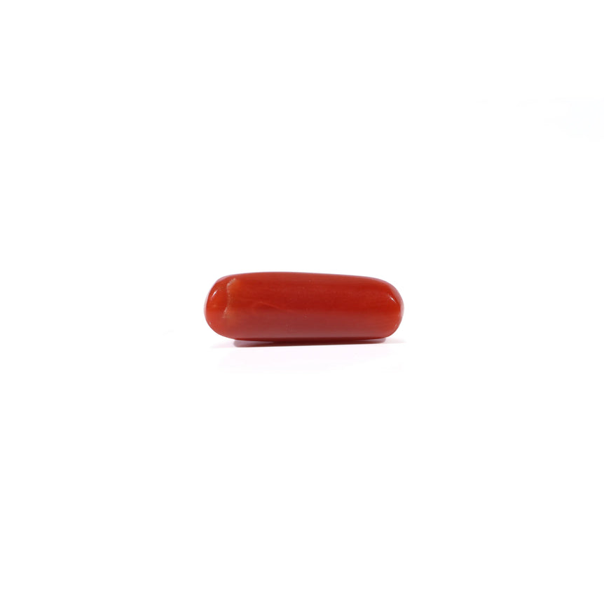 Red Coral - 4.3 Carat