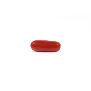 Red Coral - Moonga - 3.4 Carat - Pramogh
