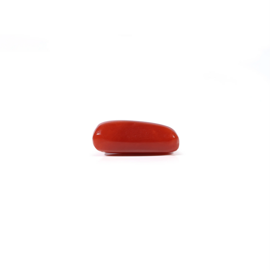 Red Coral - 3.4 Carat