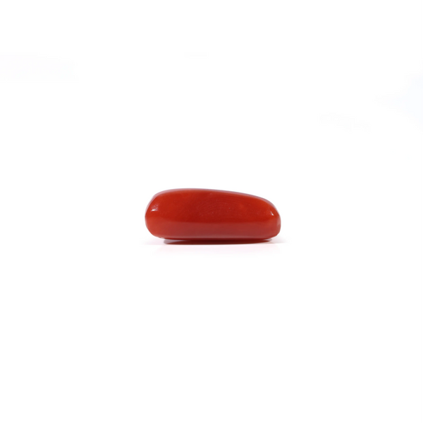 Red Coral - 3.4 Carat