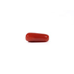 Red Coral - 3.4 Carat