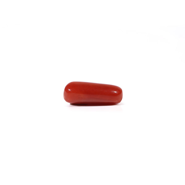 Red Coral - 3.4 Carat