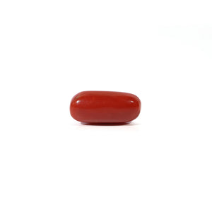 Red Coral - Moonga - 4.2 Carat - Pramogh