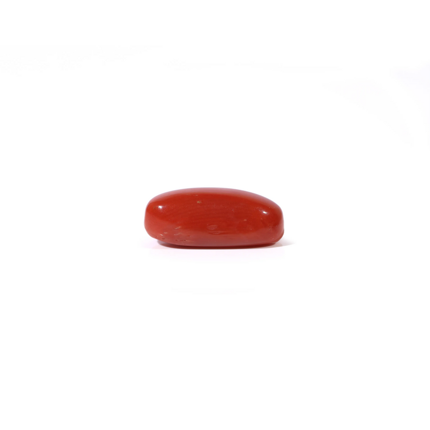 Red Coral - 4.2 Carat