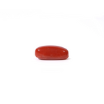 Red Coral - 4.2 Carat