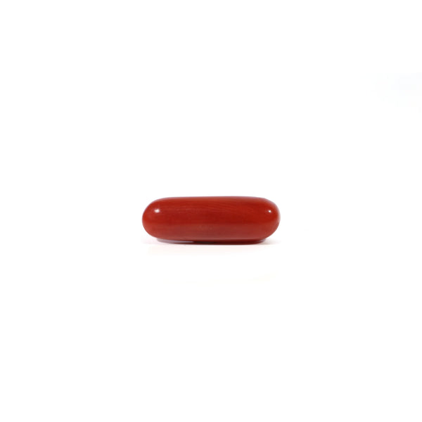 Red Coral - Moonga - 3.65 Carat - Pramogh