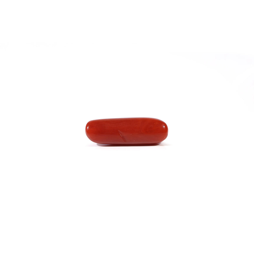 Red Coral - 3.65 Carat