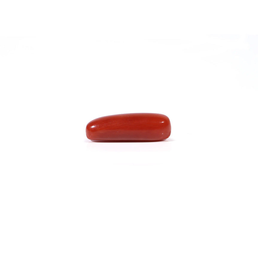 Red Coral - 3.65 Carat