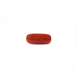 Red Coral - Moonga - 3.6 Carat - Pramogh