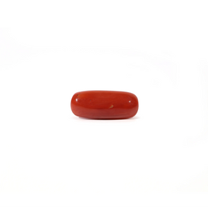 Red Coral - Moonga - 3.6 Carat - Pramogh