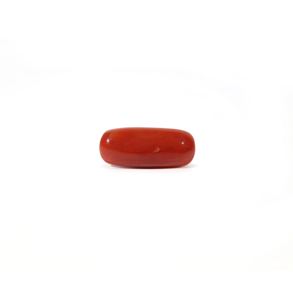 Red Coral - Moonga - 3.6 Carat - Pramogh