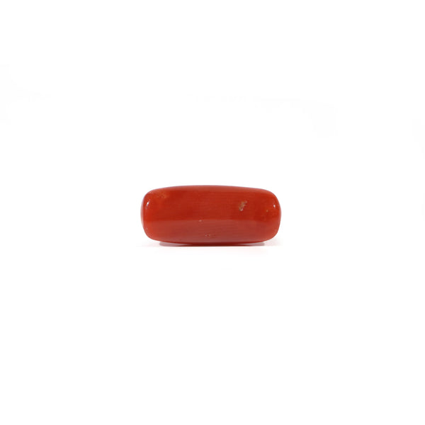 Red Coral - 3.6 Carat