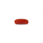 Red Coral - 3.6 Carat