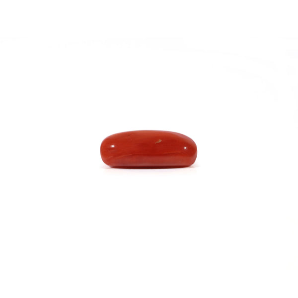 Red Coral - 3.6 Carat