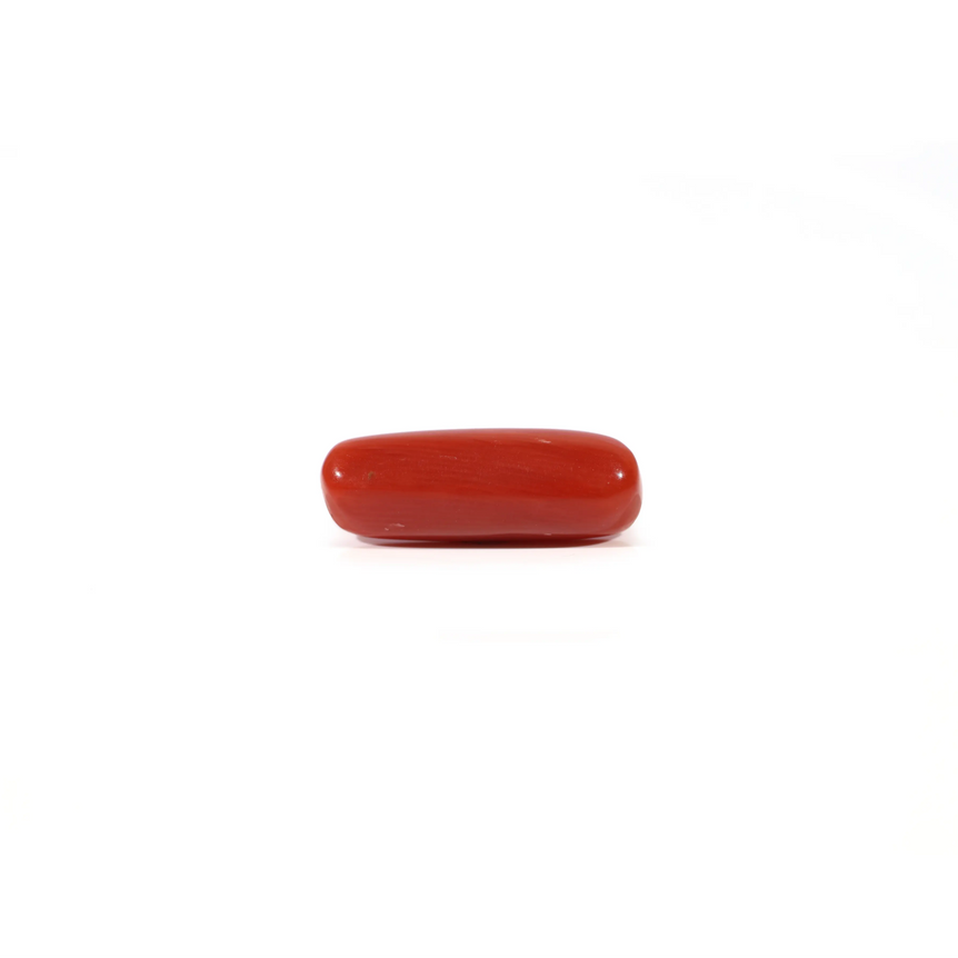 Red Coral - Moonga - 3.95 Carat - Pramogh
