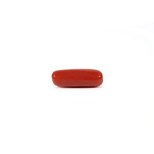 Red Coral - Moonga - 3.95 Carat - Pramogh