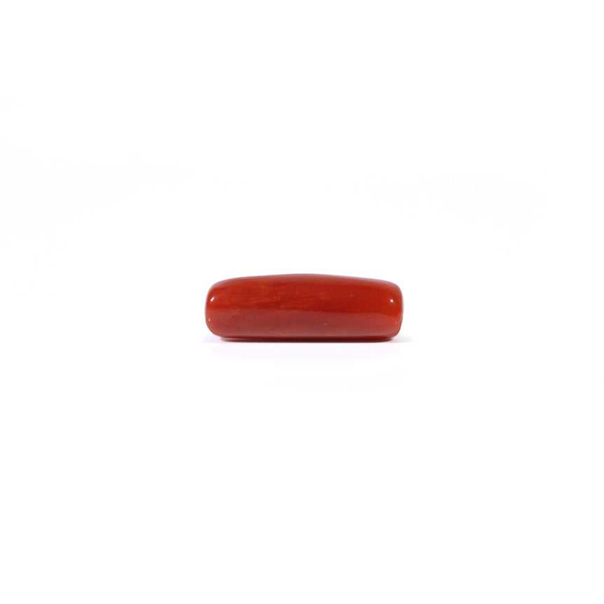 Red Coral - 4.03 Carat