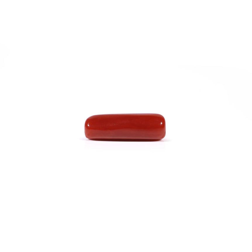 Red Coral - 4.03 Carat