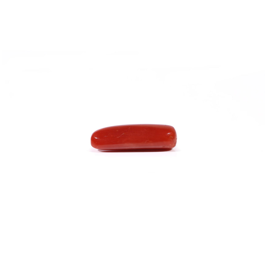 Red Coral - 4.22 Carat