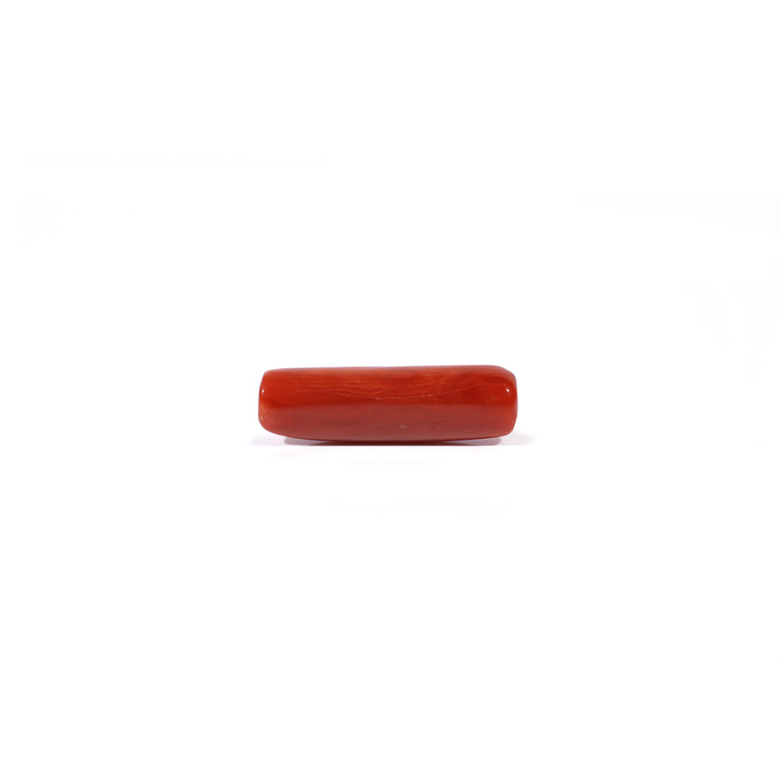 Red Coral - 4.28 Carat