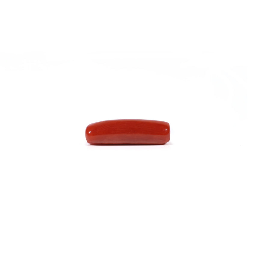 Red Coral - 4.28 Carat