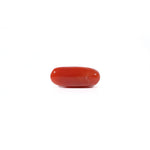 Red Coral - Moonga - 4.2 Carat - Pramogh