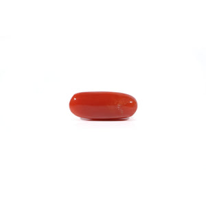 Red Coral - Moonga - 4.2 Carat - Pramogh