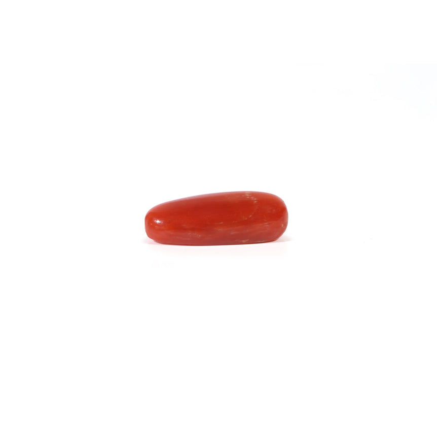 Red Coral - 4.2 Carat