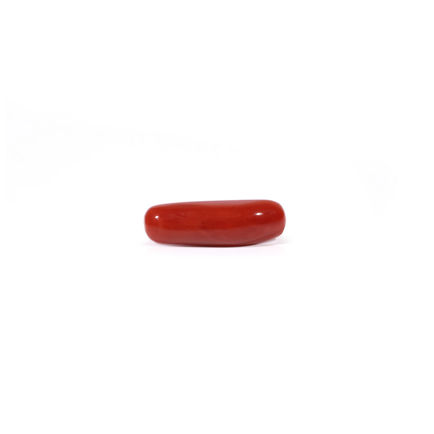 Red Coral - Moonga - 3.9 Carat - Pramogh