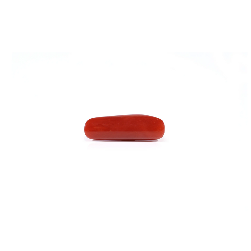 Red Coral - 3.9 Carat