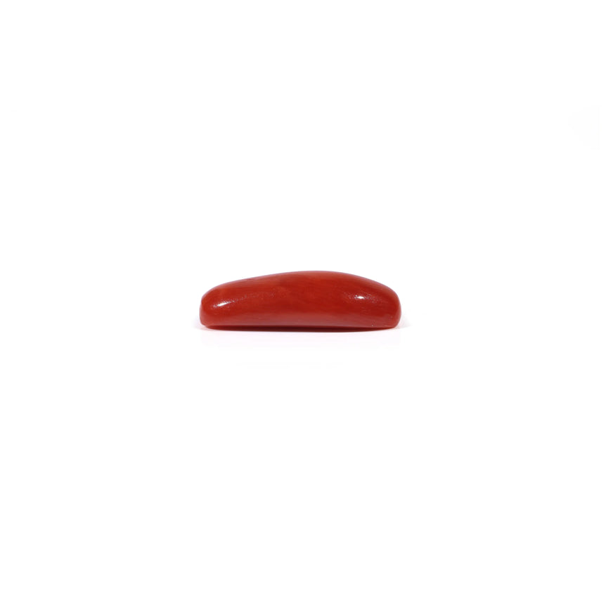 Red Coral - 3.9 Carat
