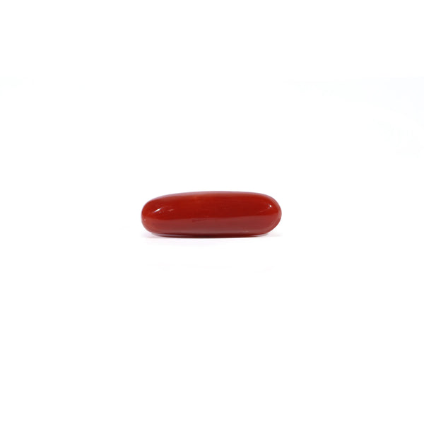 Red Coral - Moonga - 3.65 Carat - Pramogh